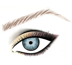 Pupa Stay Gold wet&dry Metallic Eyeshadow